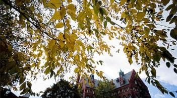 Viewing a historic brick building through a canopy of leaves.