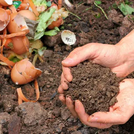 two hands cupped and holding compost
