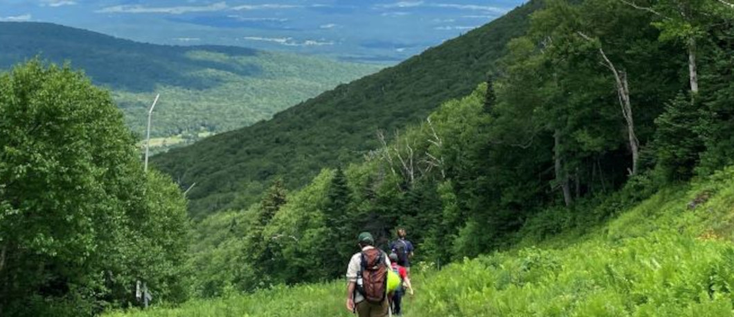 IMPACTS OF RECREATION ON FOREST ECOSYSTEMS