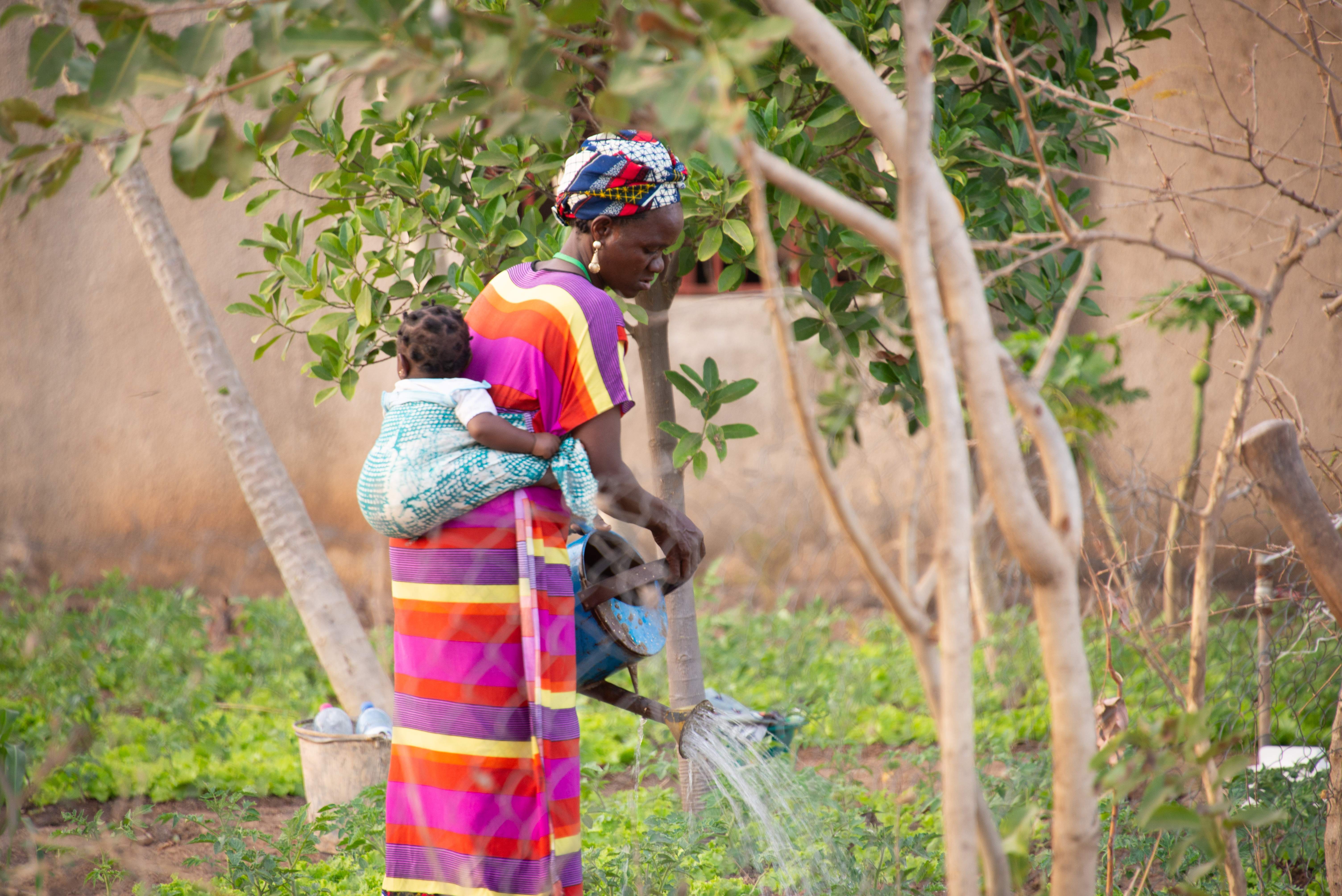Woman watering garden in Mali