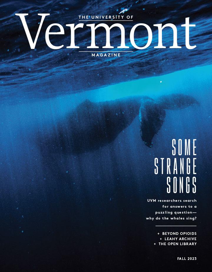 cover of the fall 2023 issue of UVM Magazine featuring an underwater photo fo a whale