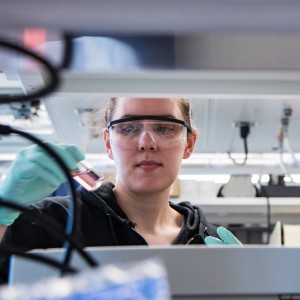 Graduate student works in the lab