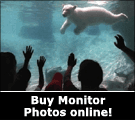 Buy Monitor Photos