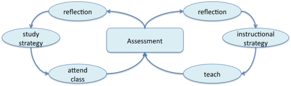 assessment cycle for both
              instructors and students