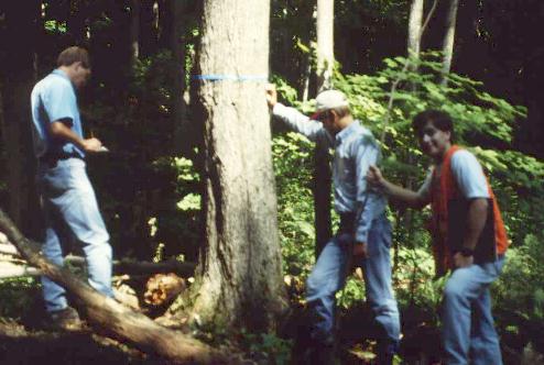 Dale Bergdahl 
and students evaluate a butternut tree