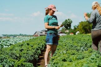 RR in a field bundling leafy greens with a walkie talkie.