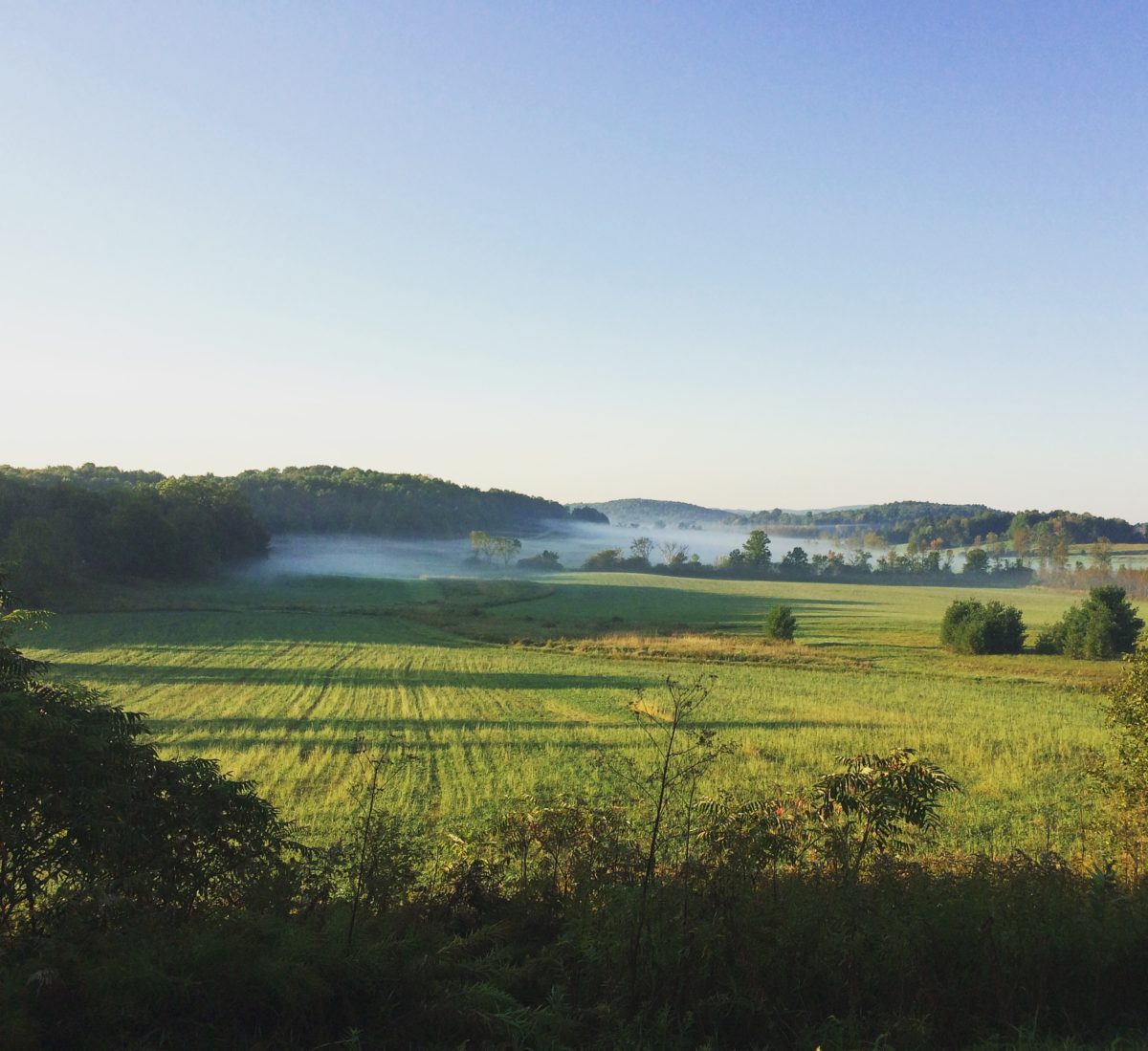 Vermont Farmers’ Perceptions of Climate Change Risk