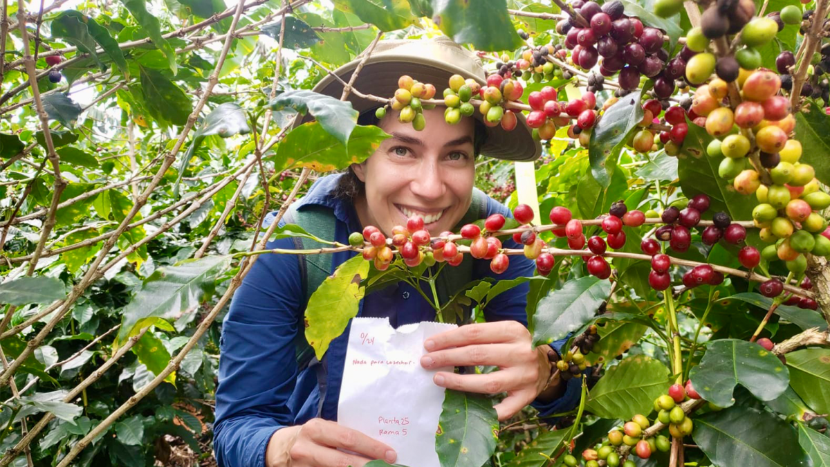 Natalia Aristizabal Uribe smiling from within a coffee plant