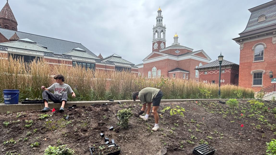 Two people planting a garden