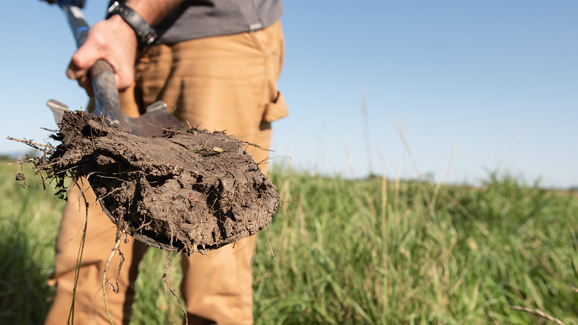 Shovel filled with soil