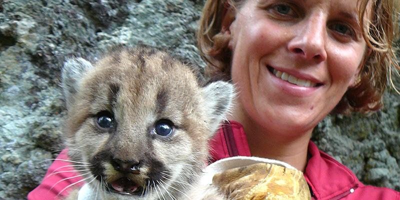 Hilary Cooley and cougar cub