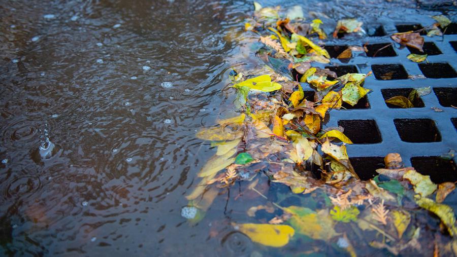 Photo of water drain