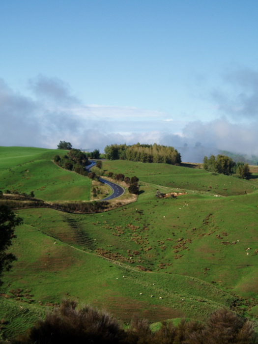 winding_road