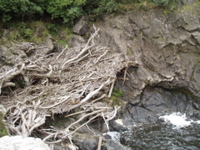 flood_debris