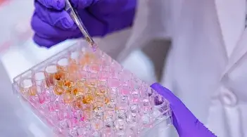 Hands holding lab equipment