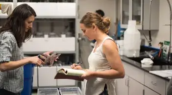 Two people in a lab looking at starfish and taking notes.
