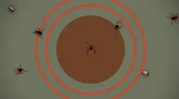 graphic of ticks on a target background