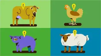 cartoon showing cow, chicken, pig, and sheep