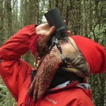Lynda Mapes, in the woods, looking up through binoculars