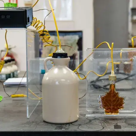 A maple syrup jug and maple shaped jar attached to electronic measuring tools
