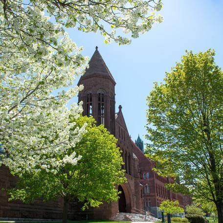 University row in spring