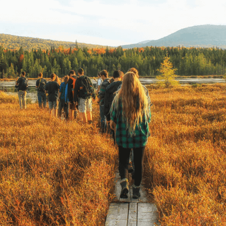 Students walk through a field of golden plants