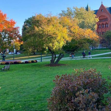 Fall foliage and students walking on the University Green,