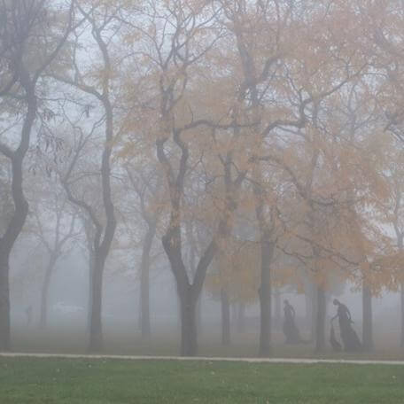 outdoor campus scene in fog