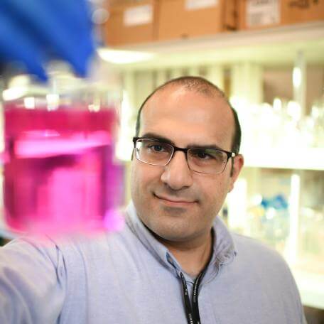 Mel Symeonides looks at a beaker containing pink fluid in his lab
