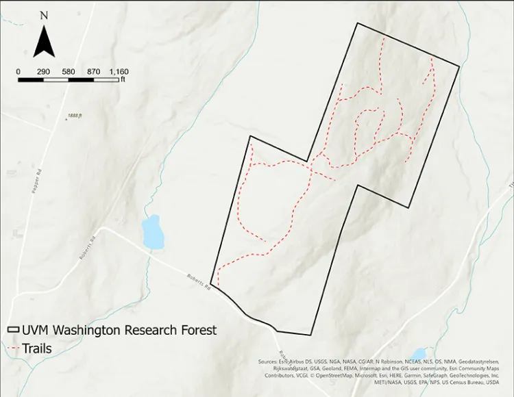 Map of Washington Forest showing trails