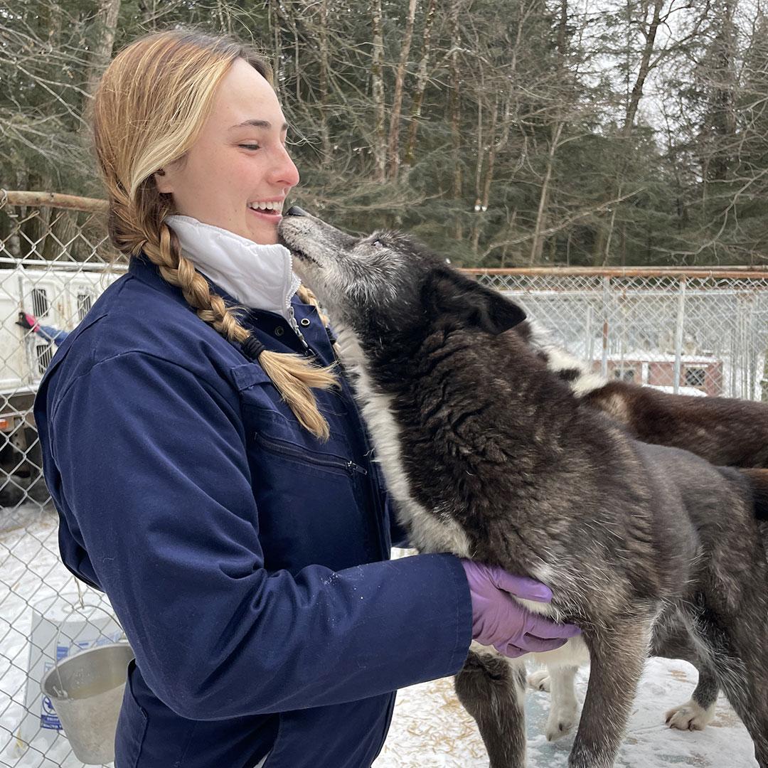 dog licks a persons face