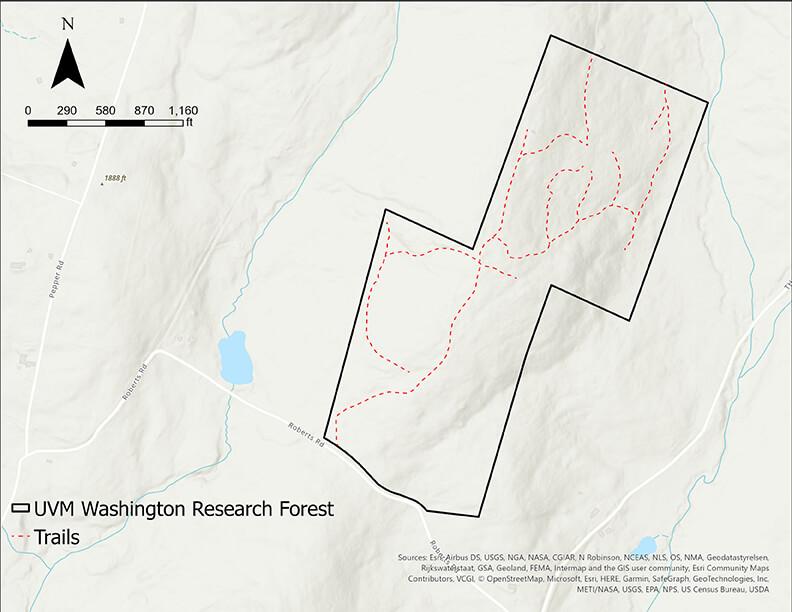 Map of Washington Forest showing trails