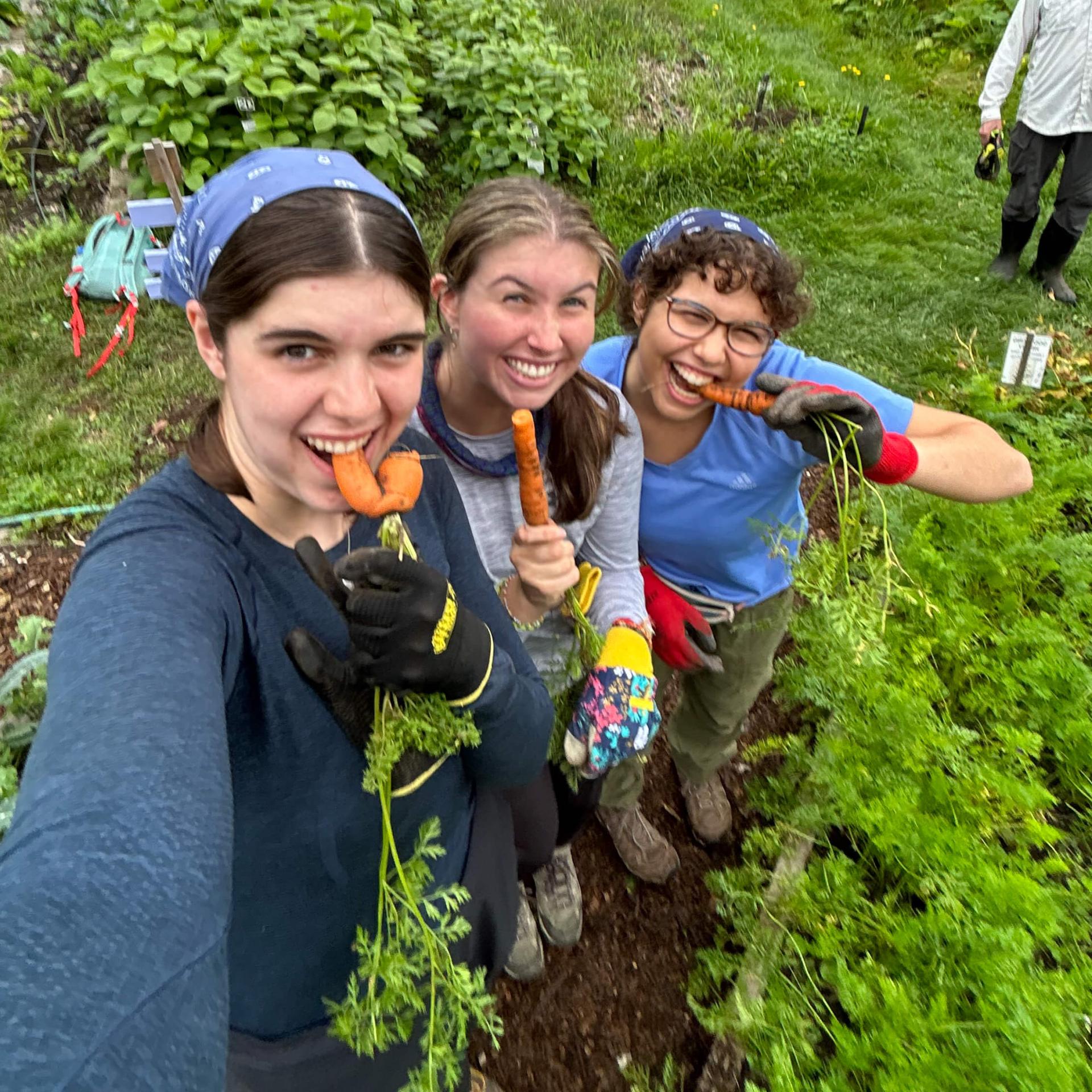 Three students pose for a selfie during a Farm & Food Service TREK trip. They are smiling at the camera, with freshly picked carrots in their mouths.