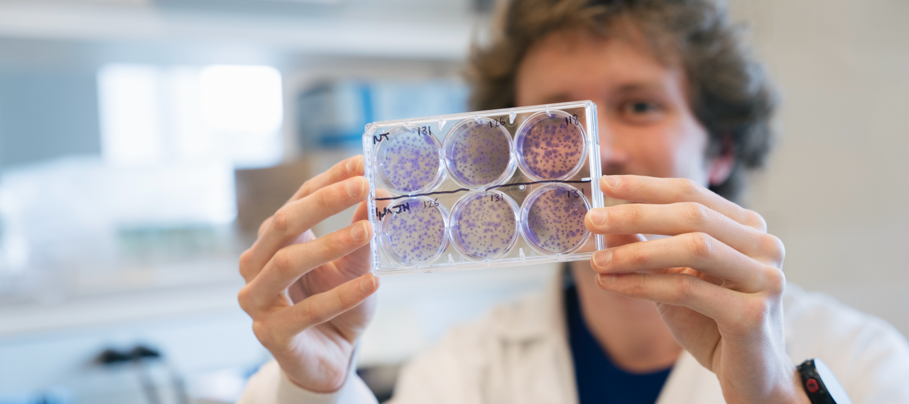 Student does cancer research in the lab
