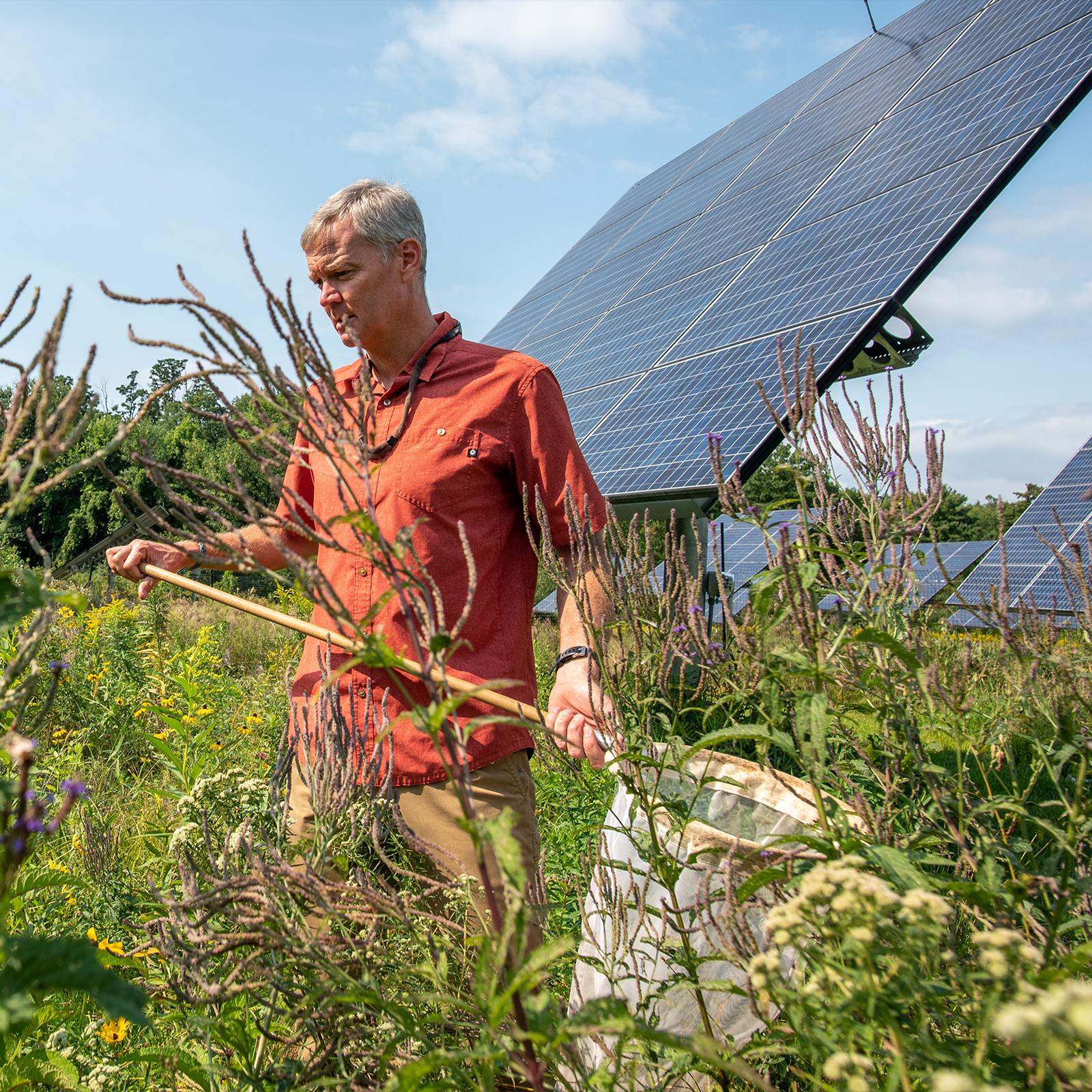 Taylor Ricketts holding a neat in front of a solar panel