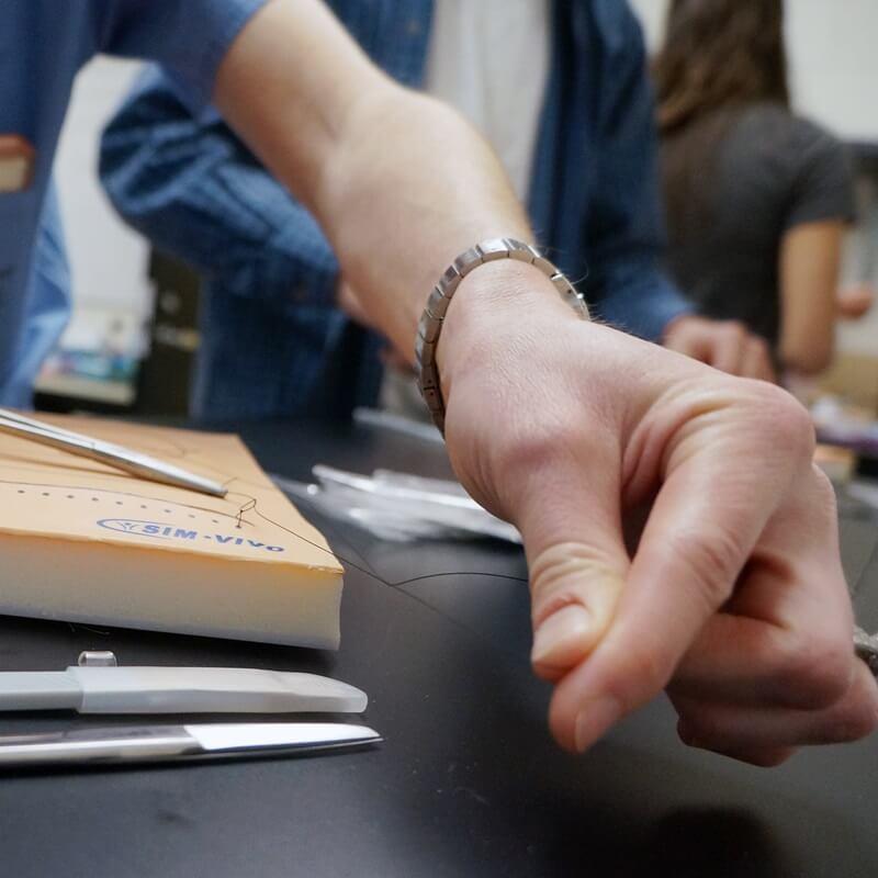 Student practicing sutures on sim vivo