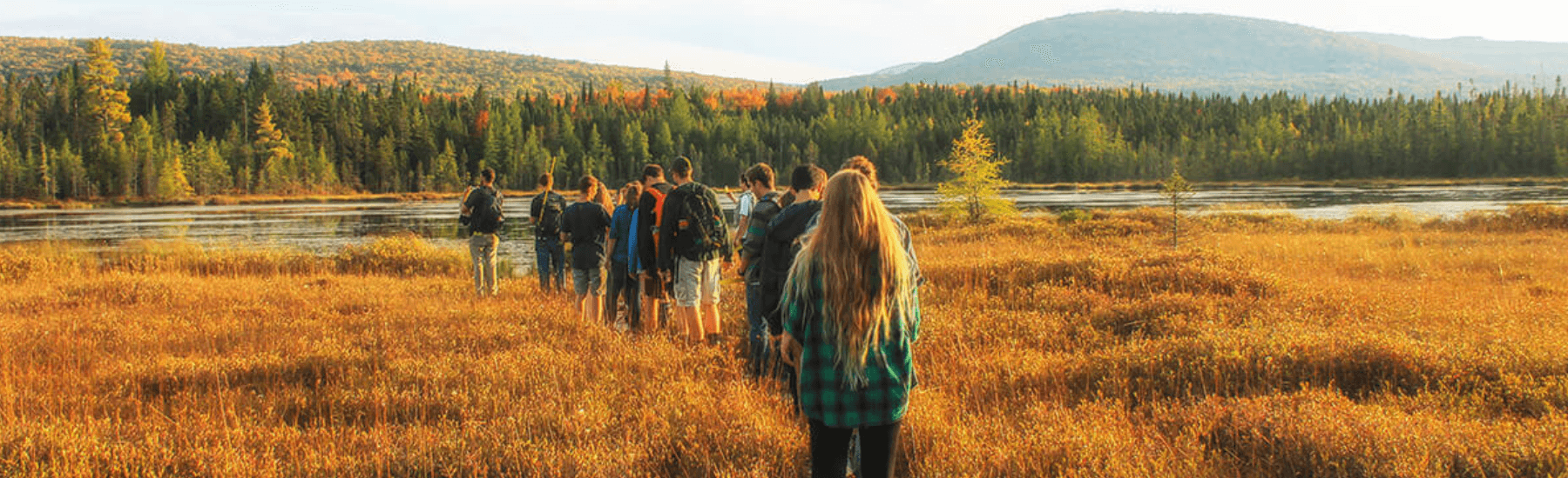 Students walk through a field of golden plants