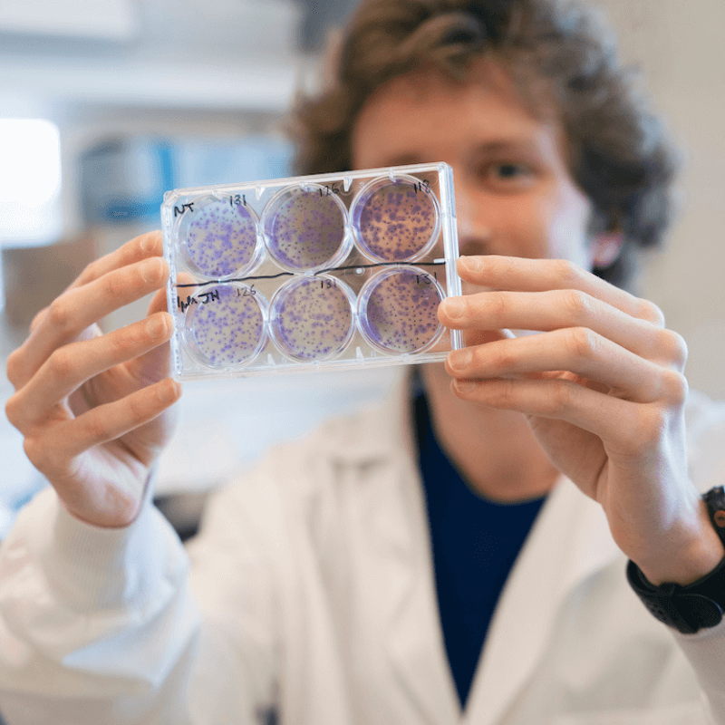 Student wearing a lab coat examines a petri dish