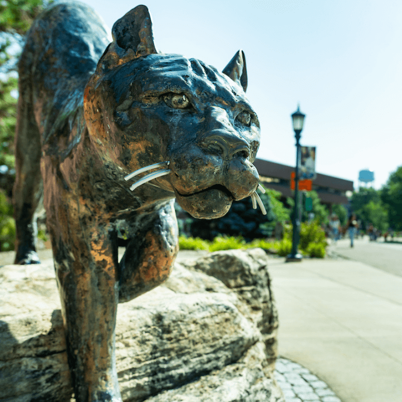 Closeup of the face of the Catamount statue