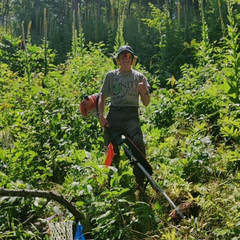 A student removing invasive species