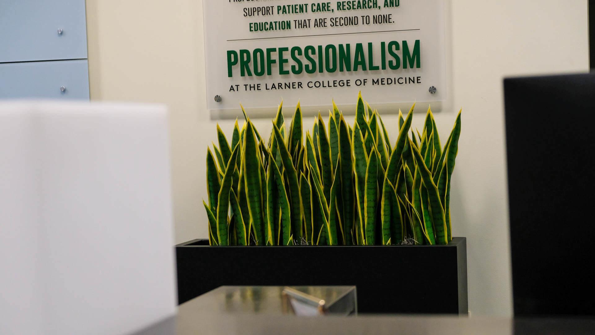 Larner Professionalism plaque with a plant underneath it