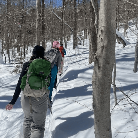 Students hiking through the snowy woods. 