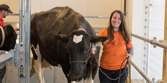 Person in an orange shirt stands beside a cow