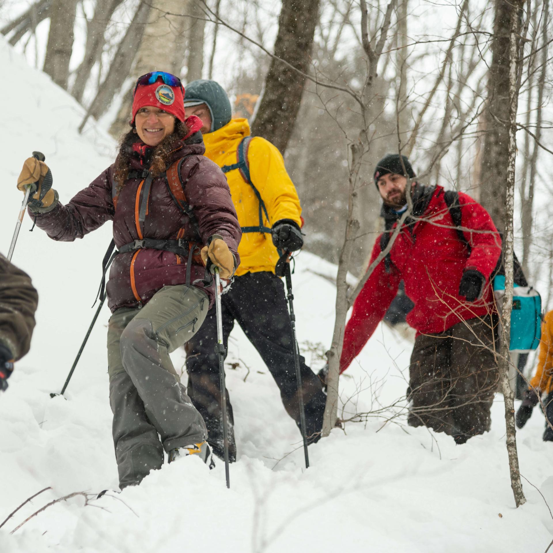 Students skiing in the woods