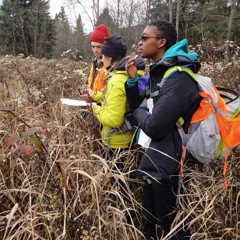Three students standing in a marshy area with waist-height grass, they have backpacks, coats, and hats on