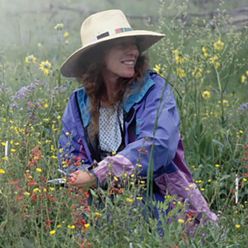 Profile Image of Alison K. Brody, UVM Professor