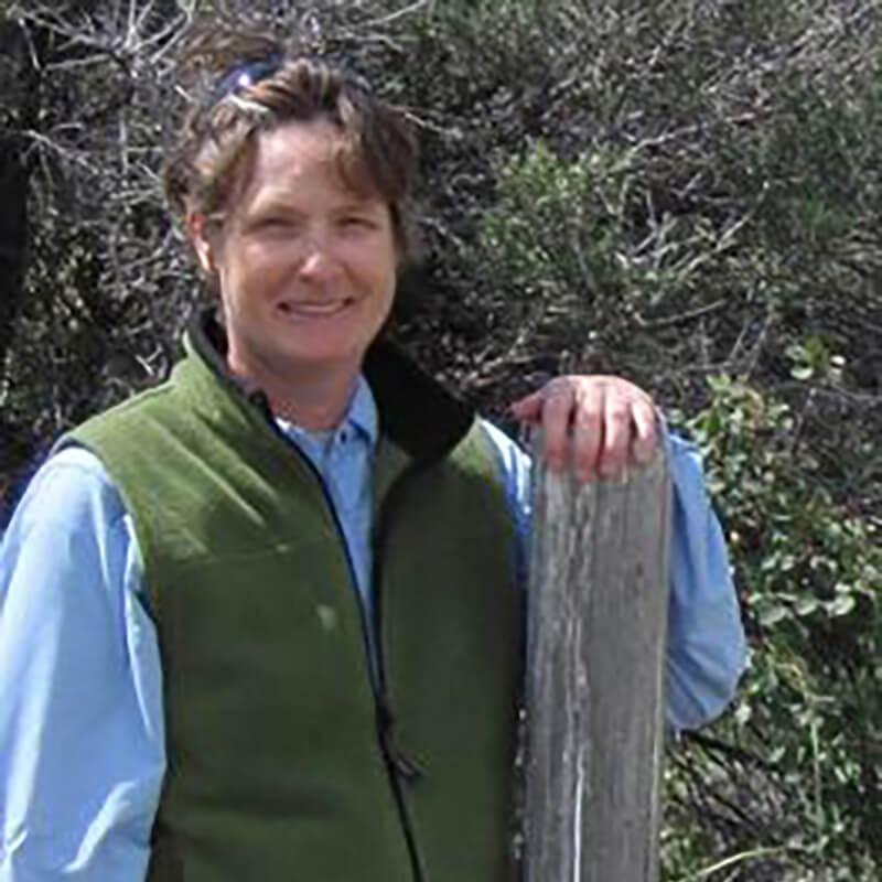 Profile image of Lori Stevens, UVM Professor