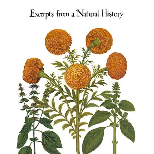 Image of a book cover "Excerpts from a Natural History"