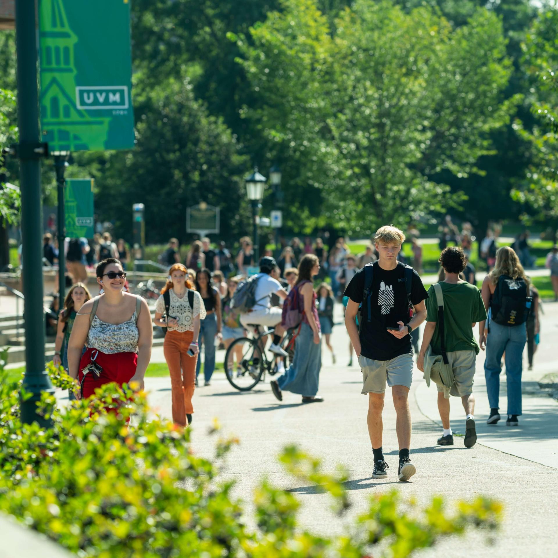 students walking along a path dotted by UVM banners on light posts on a sunny day.