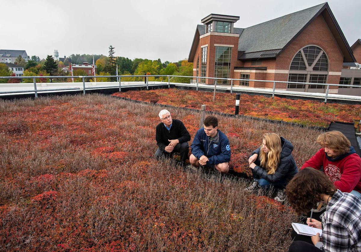 Students ans a professor examine plants on the Aiken Green Roof